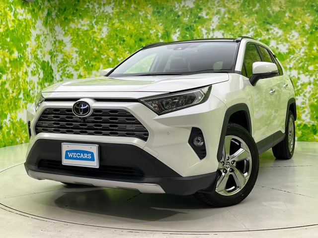 トヨタ RAV4 岐阜県の中古車 | 中古車情報・中古車検索なら【車選び