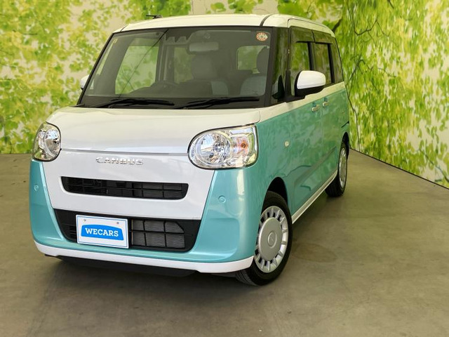 ムーヴキャンバスストライプス X