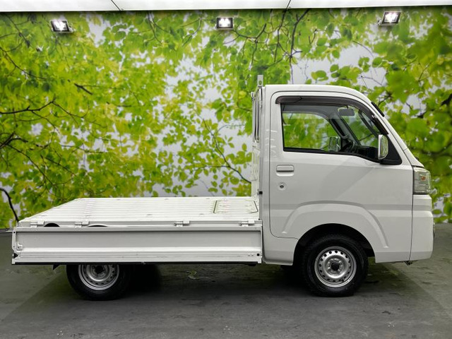 ダイハツ ハイゼットトラック エクストラ 4WD の中古車詳細 (52,300km