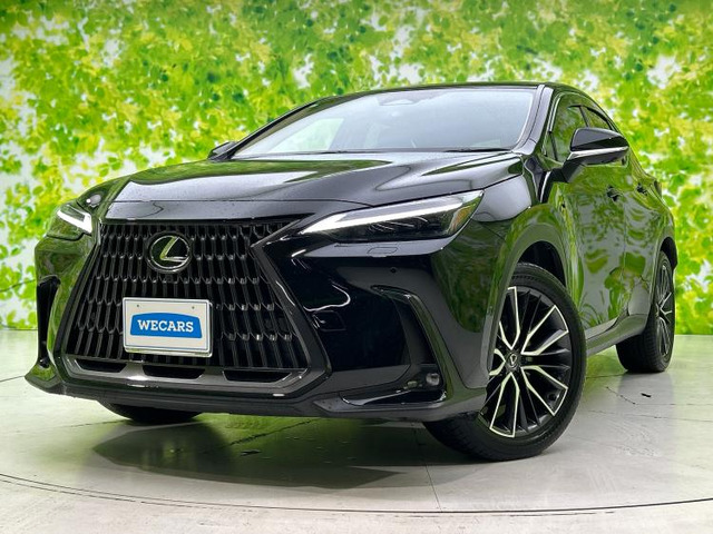 NX 350h バージョンL （6AA-AAZH20）