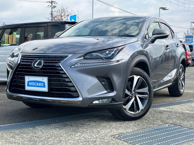 NX300 Iパッケージ