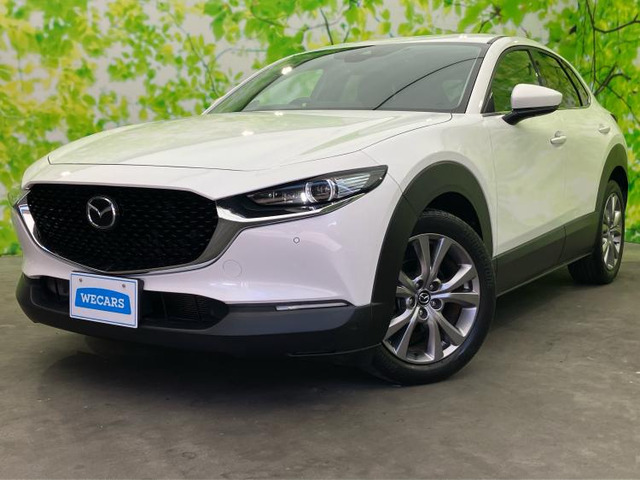 CX-302.0 20S プロアクティブ