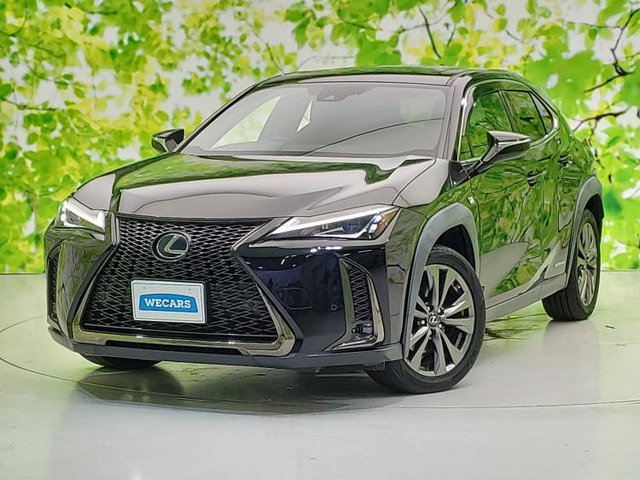 UX250h Fスポーツ