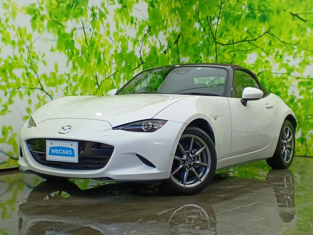 ロードスター1.5 ブラウン トップ