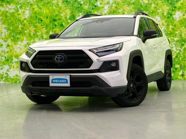 RAV4 2.5 ハイブリッド アドベンチャー オフロードパッケージ II E-Four 4WD （6AA-AXAH54）
