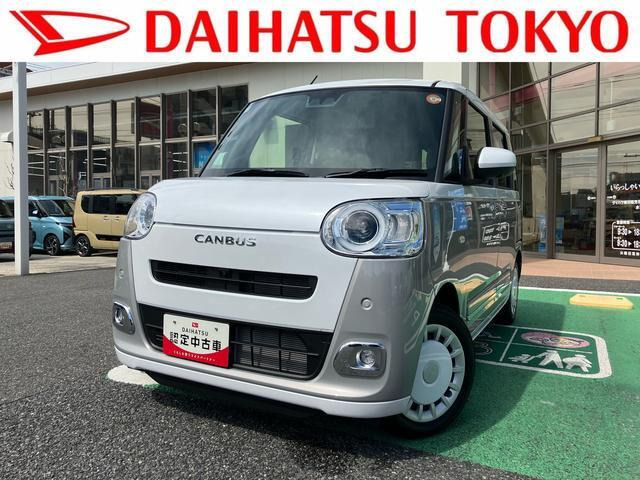 ムーヴキャンバス  ストライプス G