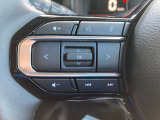 こちらのスイッチでオーディオ類の操作が行えます。音量変更やチャンネル変更などステアリングから手を放さずに操作でき、便利かつ安全性の高い機能になります。