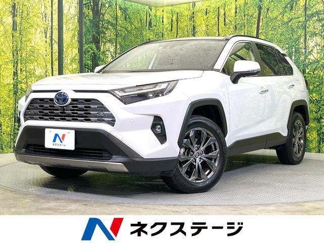 RAV4 2.5 ハイブリッド G E-Four 4WD （6AA-AXAH54）