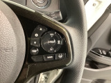 クルーズコントロールを装備しています。高速道路などで一定の速度で走ってくれるので運転が楽ですよ!速度を設定できますので、スピードの出しすぎにも注意できます。