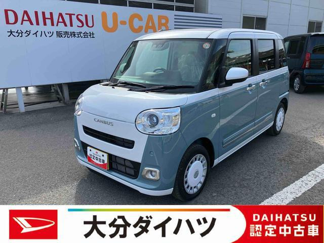 ムーヴキャンバス  ストライプス G