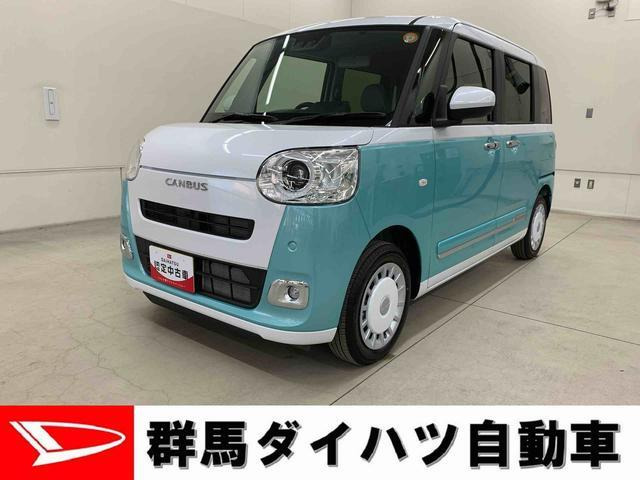 ムーヴキャンバス  ストライプス G