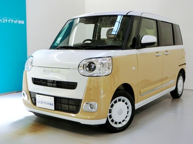 ムーヴキャンバス  ストライプス G