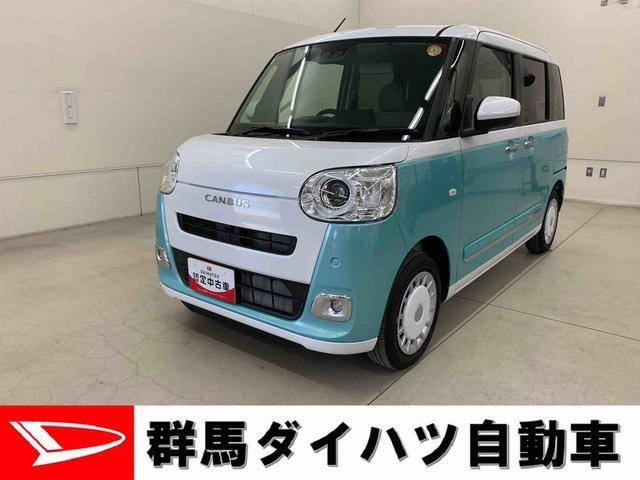 ムーヴキャンバス  ストライプス G