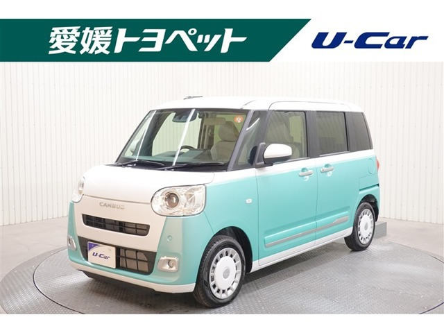 ムーヴキャンバス  ストライプス G