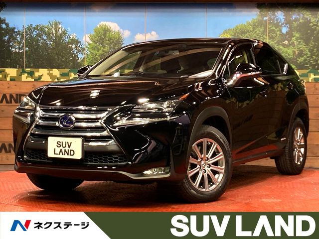 NX 300h Iパッケージ （DAA-AYZ15）