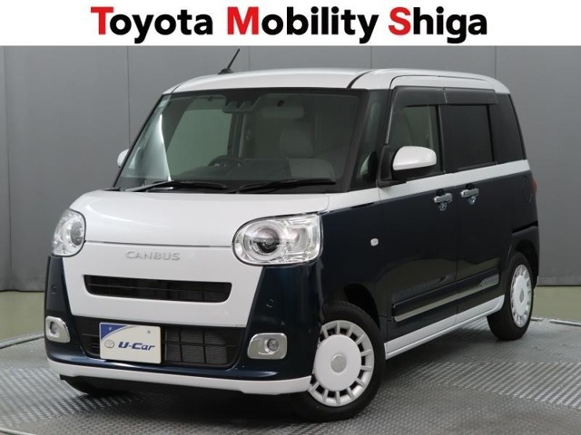 ムーヴキャンバス  ストライプス G