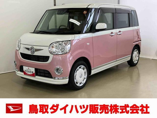 ムーヴキャンバス X リミテッド メイクアップ SAIII 