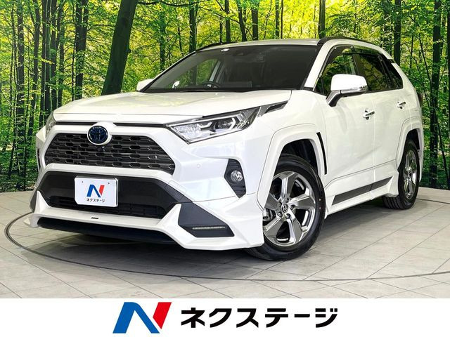 RAV4 2.5 ハイブリッド G E-Four 4WD （6AA-AXAH54）