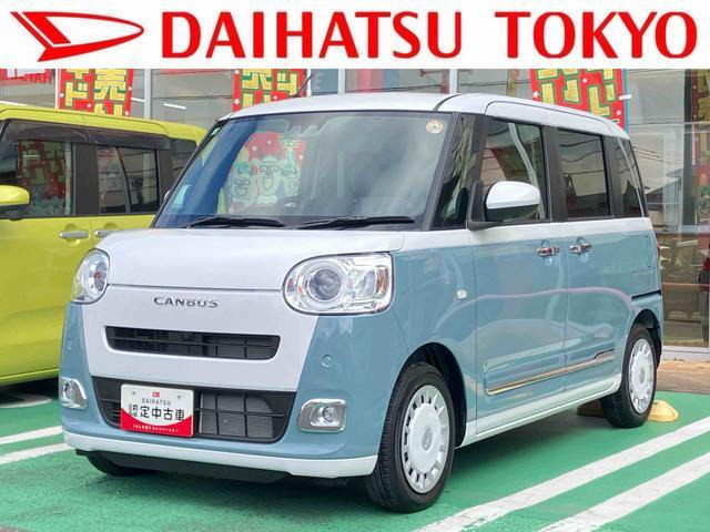 ムーヴキャンバス  ストライプス G