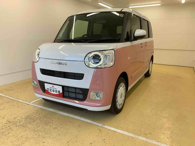 ムーヴキャンバス  ストライプス G