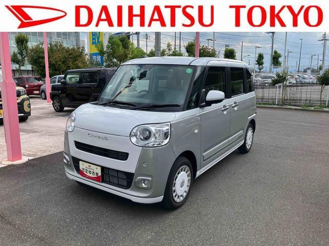 ムーヴキャンバス  ストライプス G