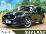 全周囲カメラ コネクトナビ フルセグTV 禁煙車 パワーバックドア