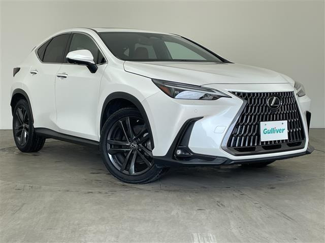 NX 250 バージョンL 本革シート サンルーフ（5BA-AAZA20）