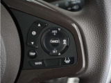 ◆アダプティブクルーズコントロール◆予め設定した車速内でクルマが自動的に加減速。前走車との適切な車間距離を維持しながら追従走行します。【LKAS】車線維持支援システムでステアリング操作を支援。