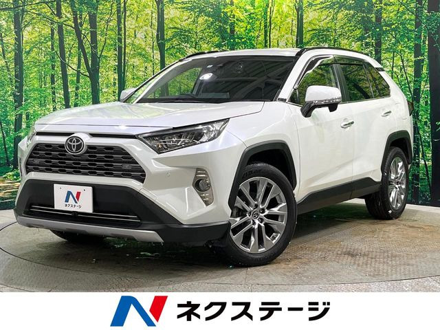 RAV4 2.0 G Zパッケージ 4WD （6BA-MXAA54）