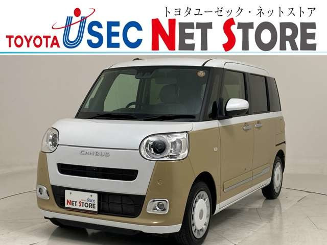 ムーヴキャンバス  ストライプス G