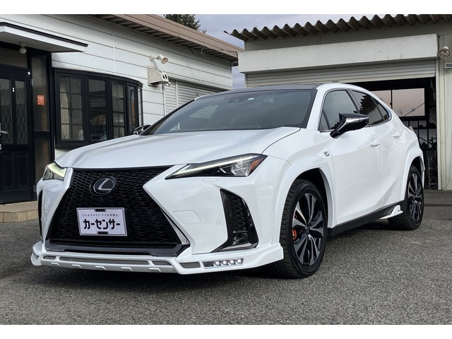 UX250h Fスポーツ エモーショナル エクスプローラー