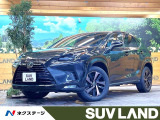 パノラマルーフ 10.3インチメーカーナビ 全周囲カメラ プリクラッシュ