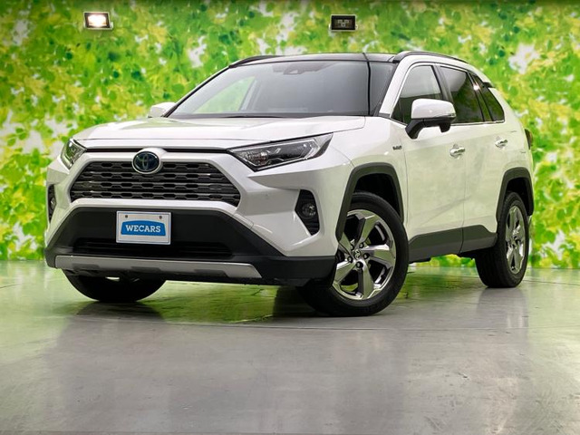 RAV4 2.5 ハイブリッド G E-Four 4WD 