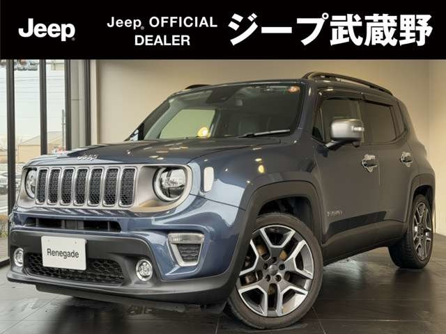 レネゲードスレートブルー