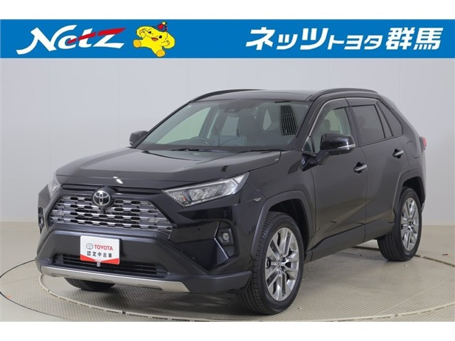 RAV4 2.0 G Zパッケージ 4WD（6BA-MXAA54）