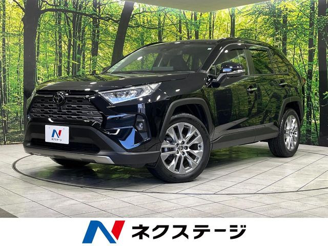 RAV4 2.0 G Zパッケージ 4WD （6BA-MXAA54）