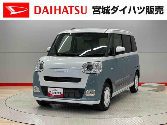 ムーヴキャンバス  ストライプス G