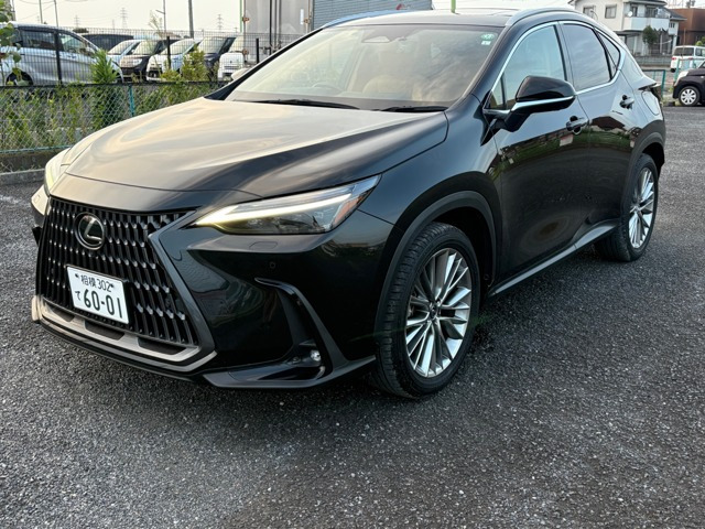 NX 350h バージョンL （6AA-AAZH20）
