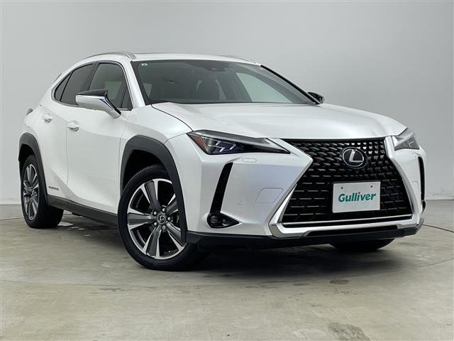 UX300e バージョンL本革シート サンルーフ