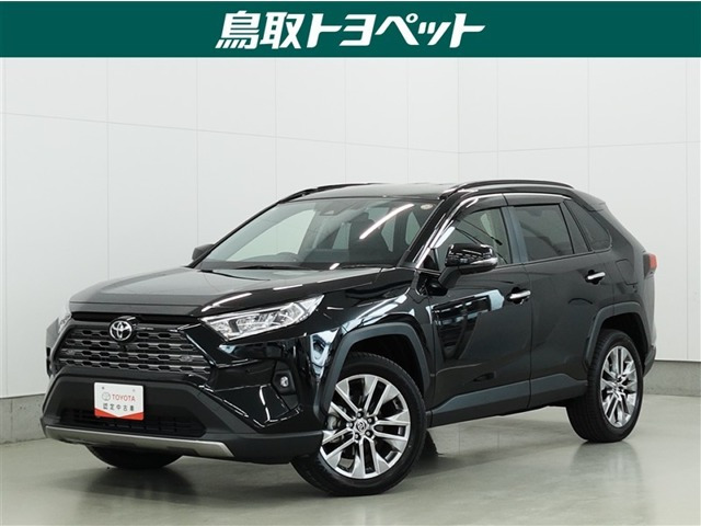 RAV4 2.0 G Zパッケージ 4WD（6BA-MXAA54）