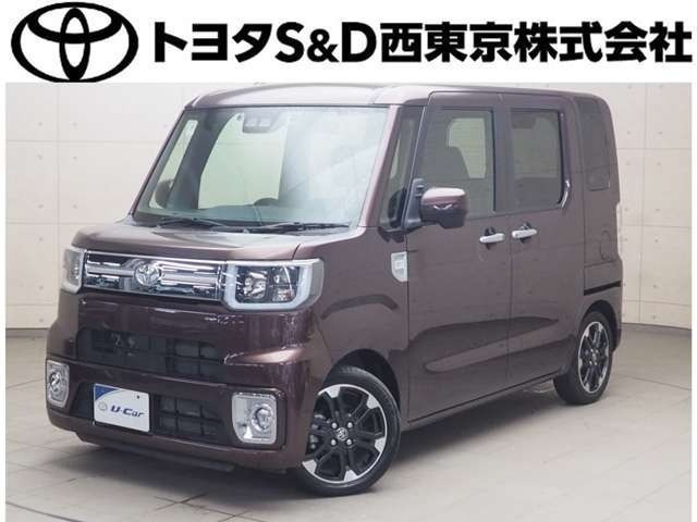 ピクシスメガGターボ レジャーエディション SAIII