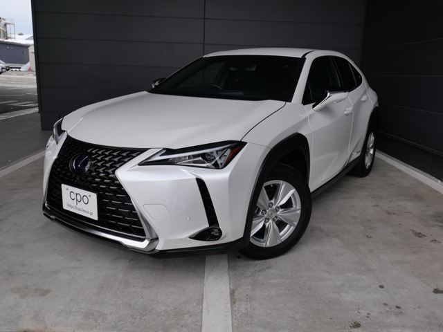 UX 250h バージョンC 