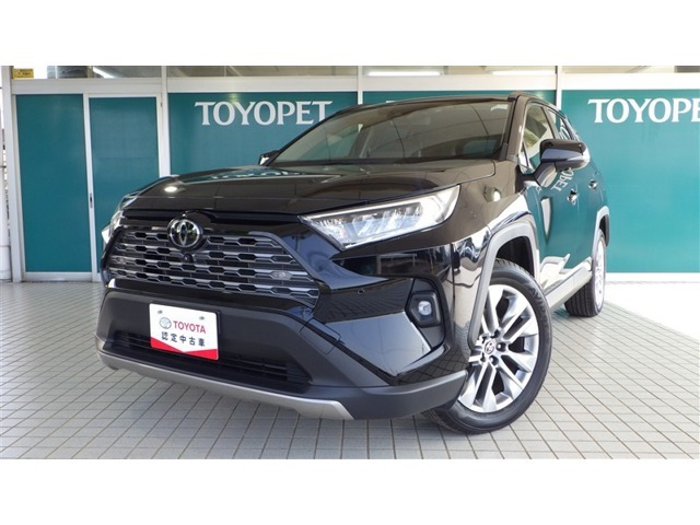 RAV4 2.0 G Zパッケージ 4WD（6BA-MXAA54）