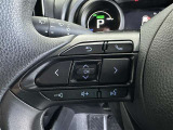 ステアリング装備◇ディスプレイ表示切替◇オーディオ切替◇レーダークルーズコントロールなどの操作が行えます