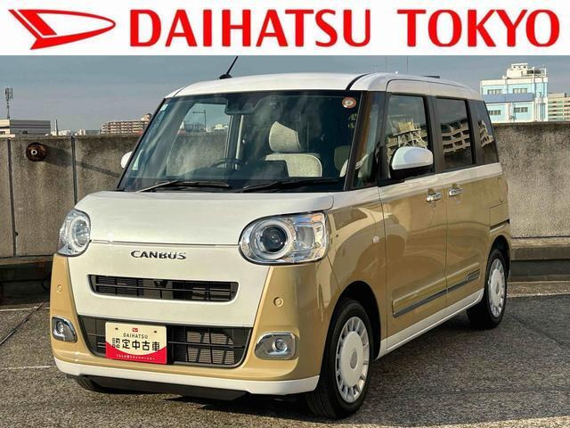 ムーヴキャンバス  ストライプス G