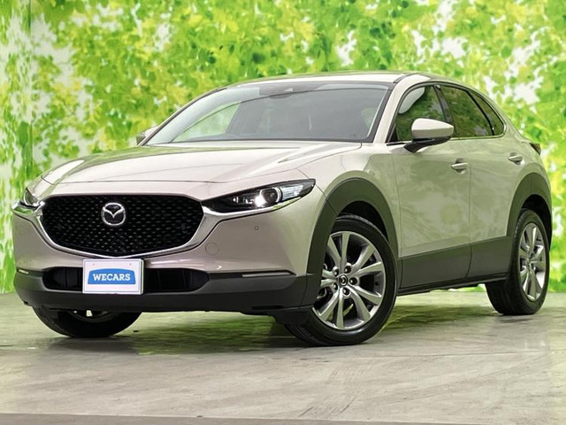 CX-30 2.0 20S プロアクティブ ツーリングセレクション