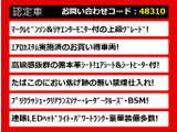 LS 460 バージョンL マクレビ&リアエンター 全画面ナビ
