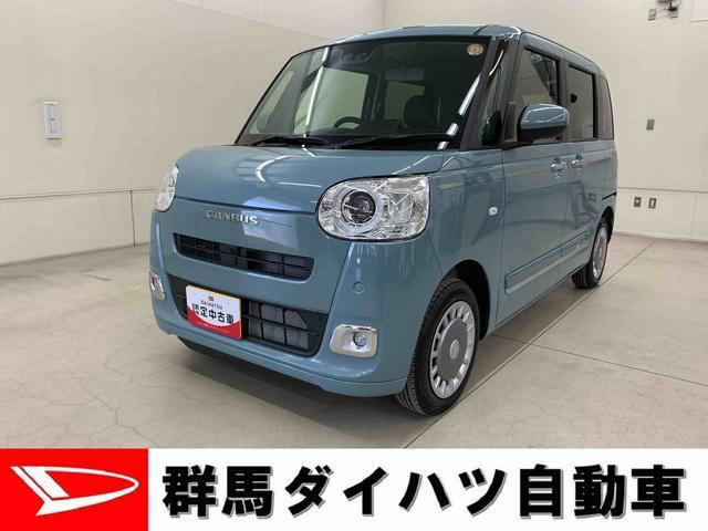 ムーヴキャンバス  セオリー G