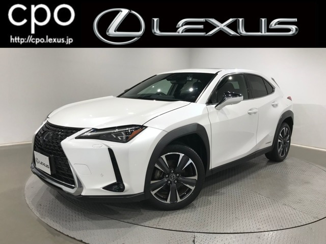 UX 250h バージョンL