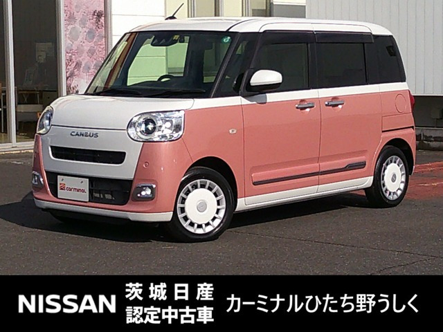 ムーヴキャンバス  ストライプス G